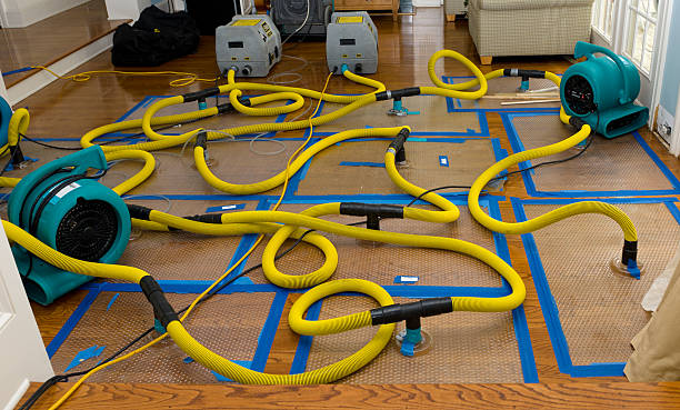 Professional Basement Flood Cleanup technician working in Minor Hill, TN